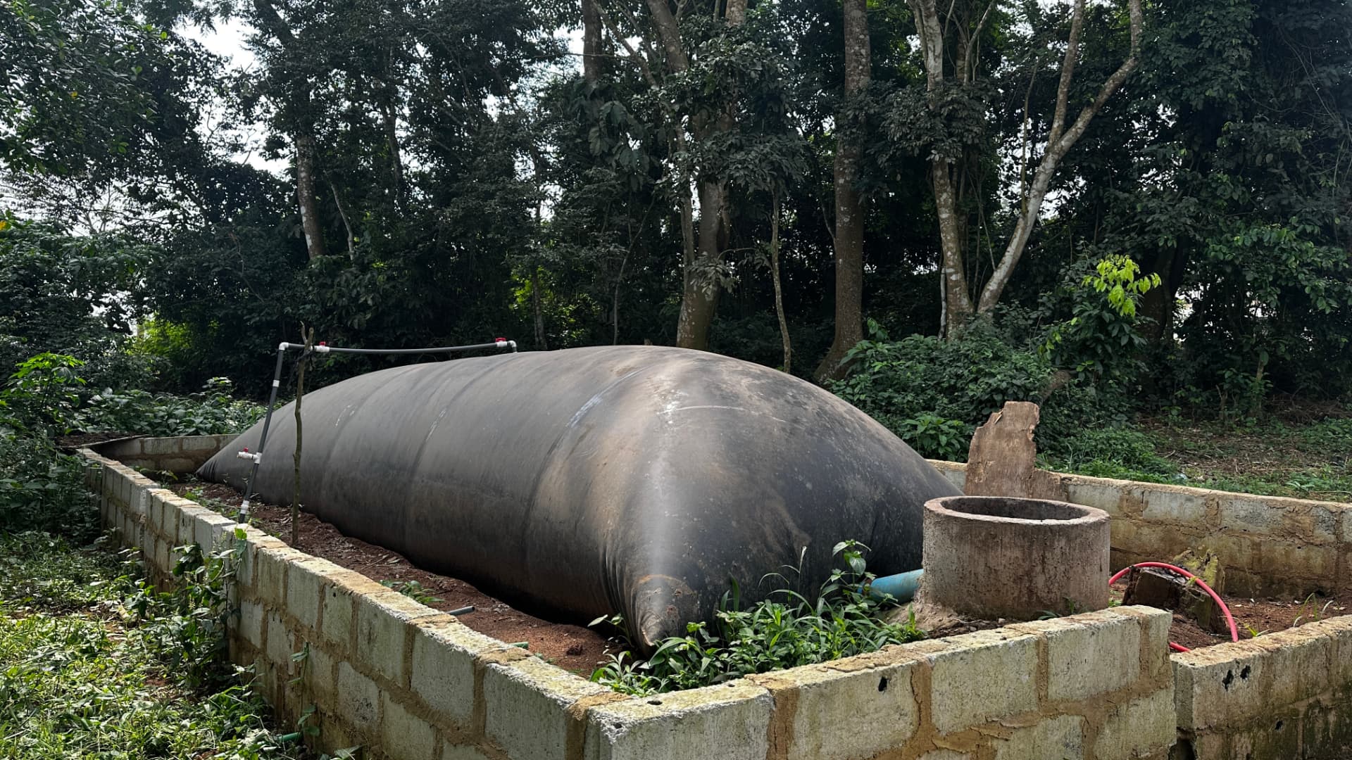 Biogas installation within a low block enclosure at CookClean's school project